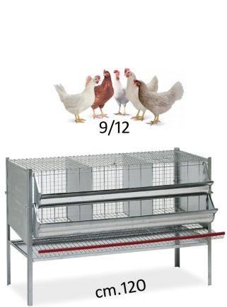 Gabbia galline cm.120 - 1