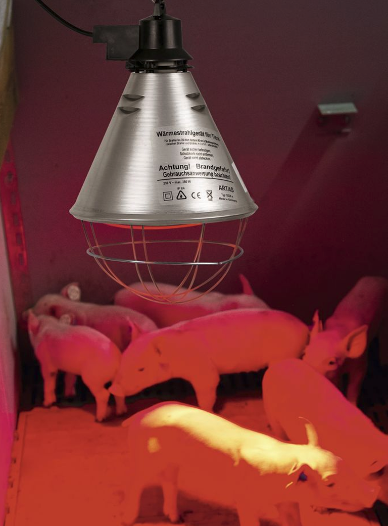 Lampada infrarossi watt 150 Philips