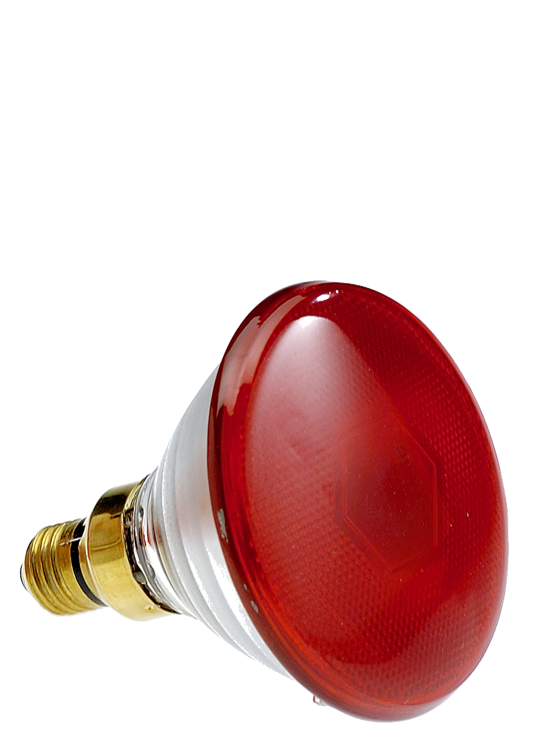 Lampe Philips à Rayons Infrarouges 240V PAR38 IR RED 100 WATT 