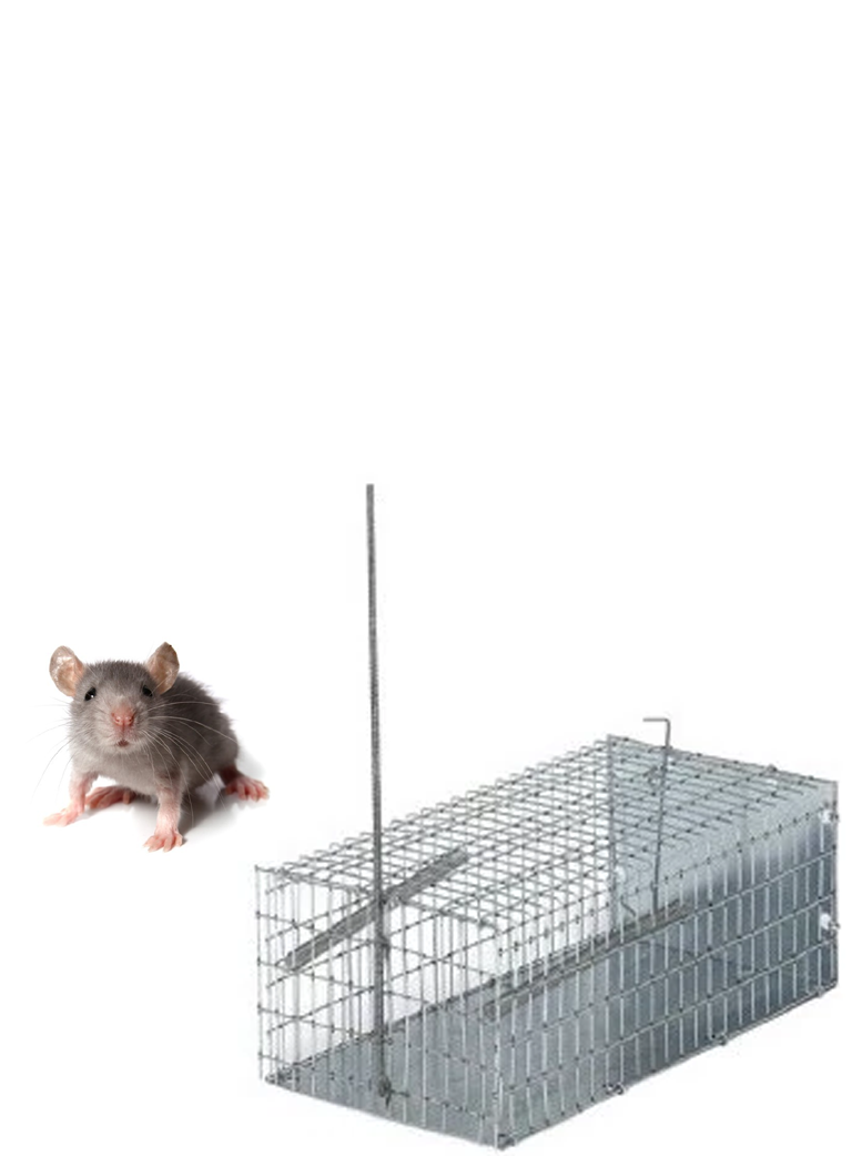Small tunnel mouse trap 20 cm
