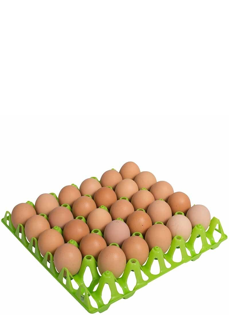 Organizer per frigorifero 2 vassoi per uova - Great Plastic