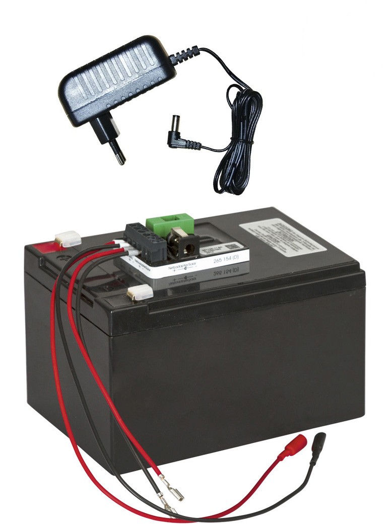 Goshyda Pannello Solare Portatile 10W 12V, Kit Caricabatterie Solare con 2  Uscite USB, Clip Batteria, Presa Accendisigari, per Ricarica Batteria 12V