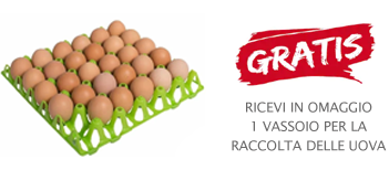 Gabbia per galline ovaiole con 2 scomparti, ideale per 4 / 6 galline, cm.80  completa di mangiatoia, abbeveratoio e padella raccolta escrementi.